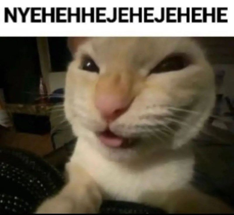 The NYEHEHHEJEHEJEHEHE meme cat